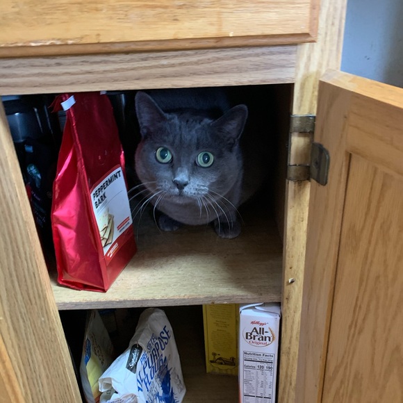 Meet your Posher, Sherry - Picture 10 of 11